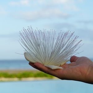 Meet your Posher, Chiai